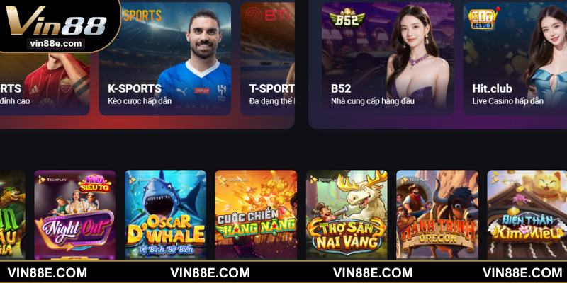 Quyền và nghĩa vụ của người chơi phải cung cấp đúng dữ liệu riêng