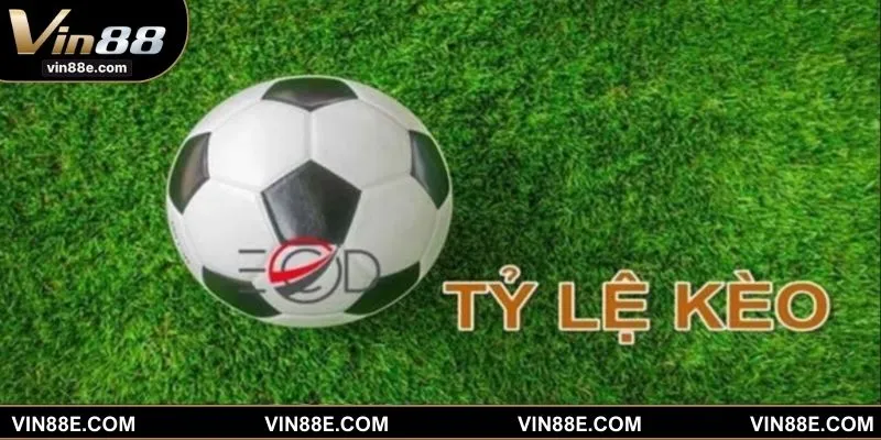 Tổng hợp các loại cược hay nên trải nghiệm